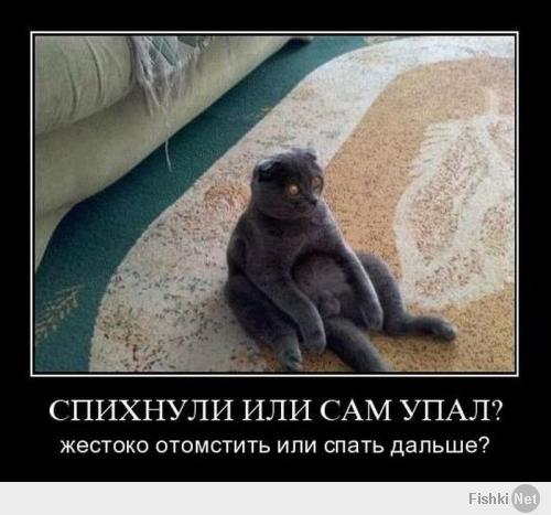 Фишкина солянка за 25.03.2014