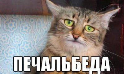 Немного фриков из соцсетей