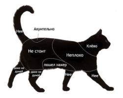 еще немного инструкций=)