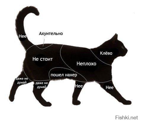 еще немного инструкций=)