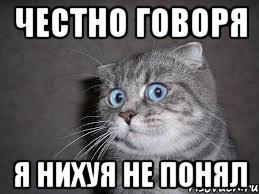 Настоящая физика