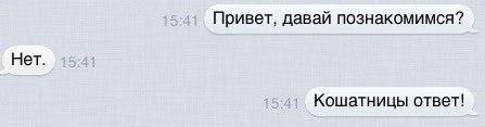 Фишкина солянка за 11.10.2014