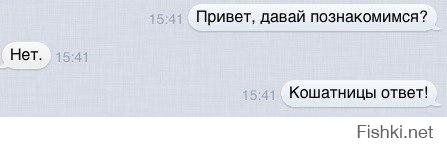 Фишкина солянка за 11.10.2014