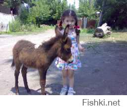Подборка фото детворы с собаками