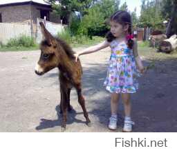 Подборка фото детворы с собаками