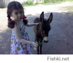 Подборка фото детворы с собаками