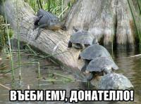 Фишкина солянка за 11.10.2014
