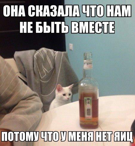 Сфоткай, типа я тут хозяин