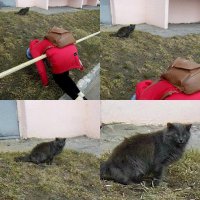 на себя посмотрите