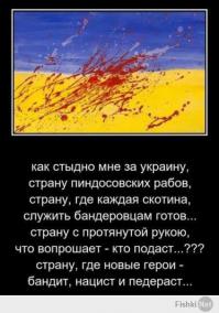 Профессия — репортер. Власть мародеров