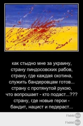 Профессия — репортер. Власть мародеров