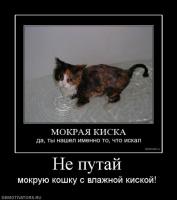 Моя киска!