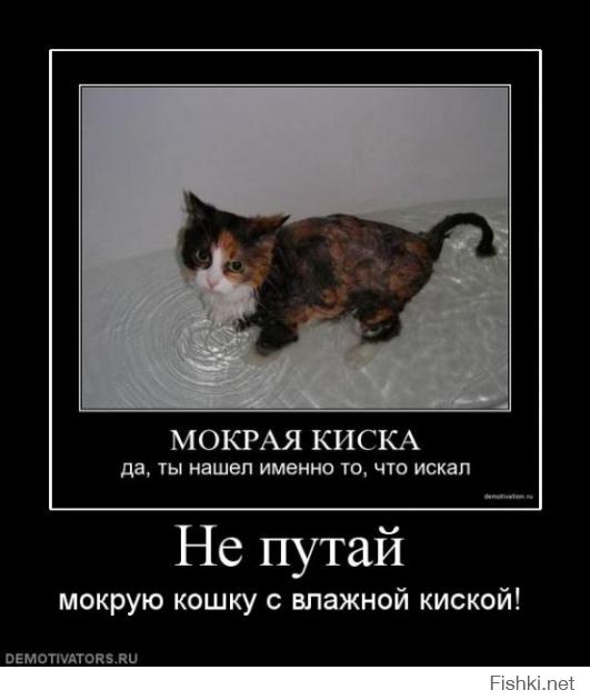 Моя киска!