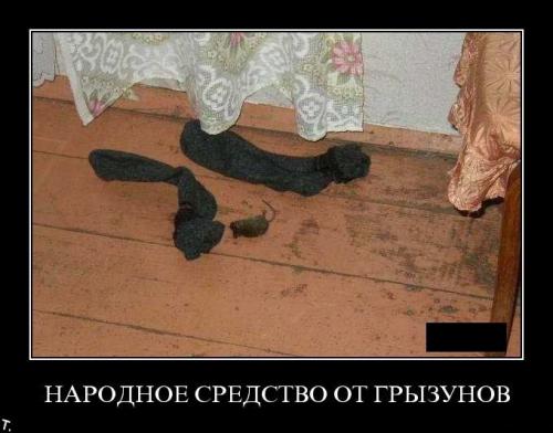 Акция на сухарики
