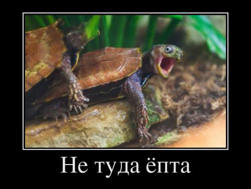 Подборка фото приколов