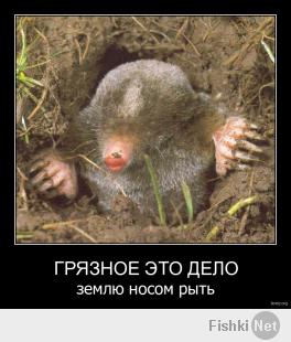 Ах вот он какой!