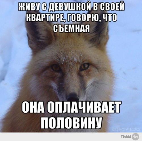 Это же,ГЕНИАЛЬНО!!!!