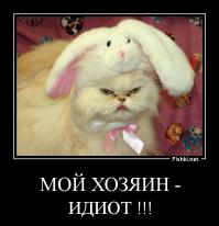 Недовольные животные