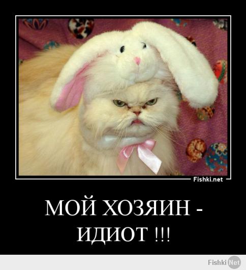 Недовольные животные