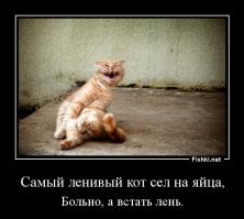 Да что ты знаешь о лени?