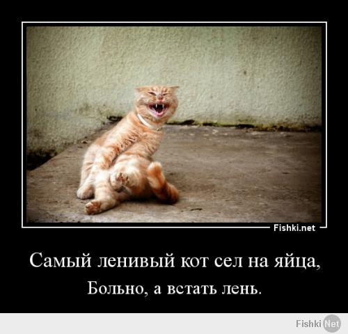 Да что ты знаешь о лени?