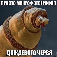 Они 100% родственники: