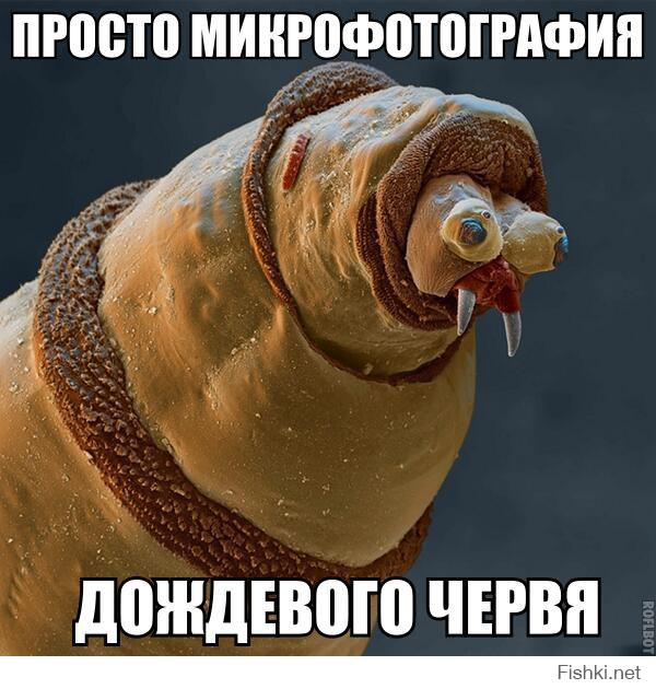 Они 100% родственники: