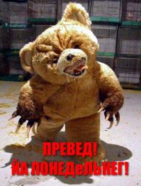 Медведи на все случаи жизни