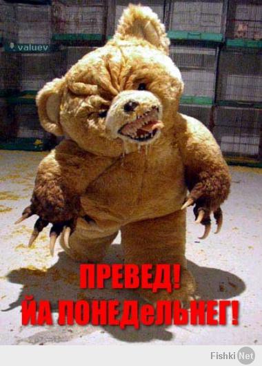 Медведи на все случаи жизни