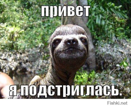Картинки со смешными подписями