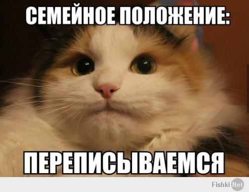 Кото-пост