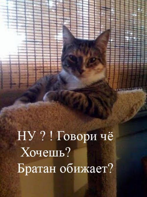 "это мое зотоло и я его держу"
