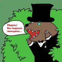 Новосибирская автоледи