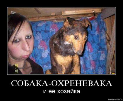 Человек собаке друг