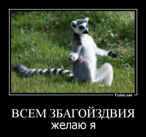 Животные, которые занимаются йогой лучше, чем вы