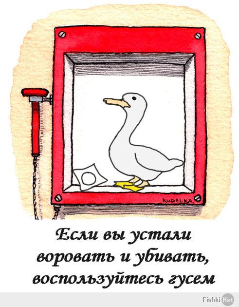 Птичку жалко...