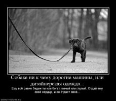И все таки преданней их нету никого больше