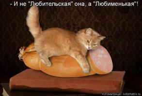 Милые и забавные тоже любят пятницу!