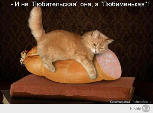Милые и забавные тоже любят пятницу!
