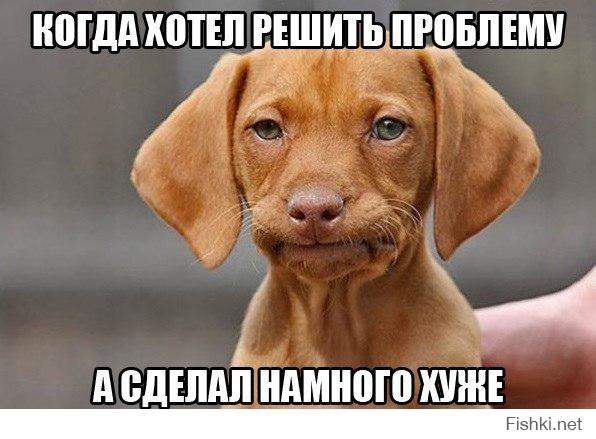 Картинки со смешными подписями