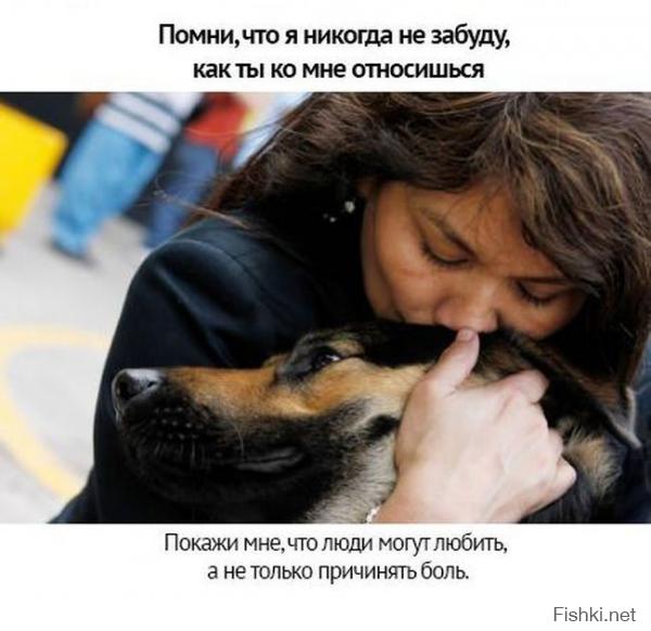 Обнимашки