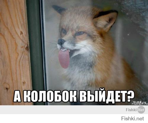 Картинки со смешными подписями