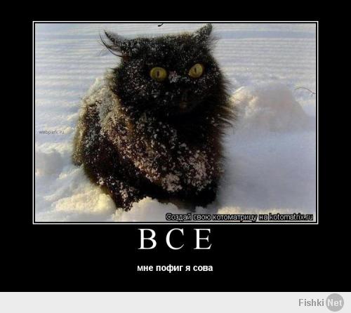 Когда действительно пофиг