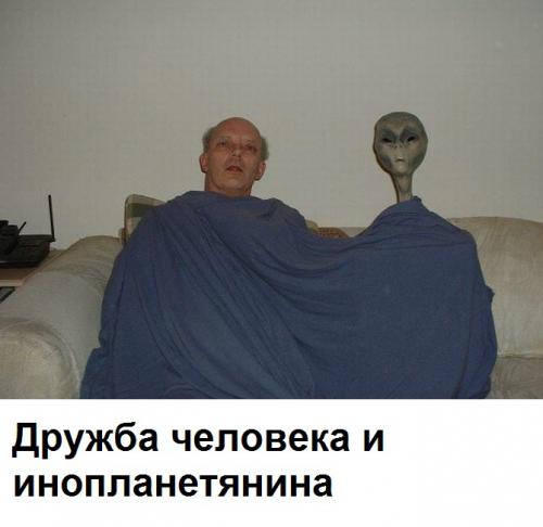 Пес и лис - лучшие друзья