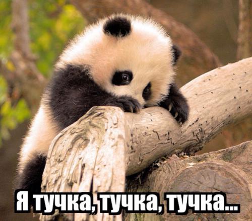 А я с медведЁм)))