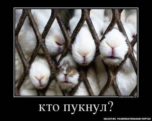 Крик души