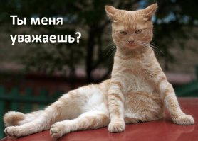 посмеялся =)))
