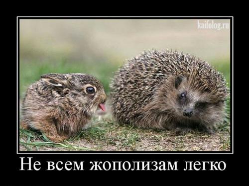 Фишкина солянка. Часть 41