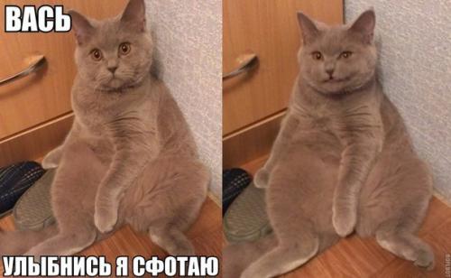 Никому не верь!