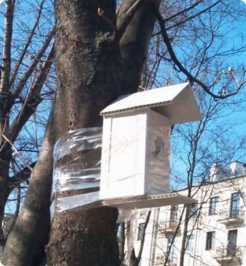 Не придуманные фото из России